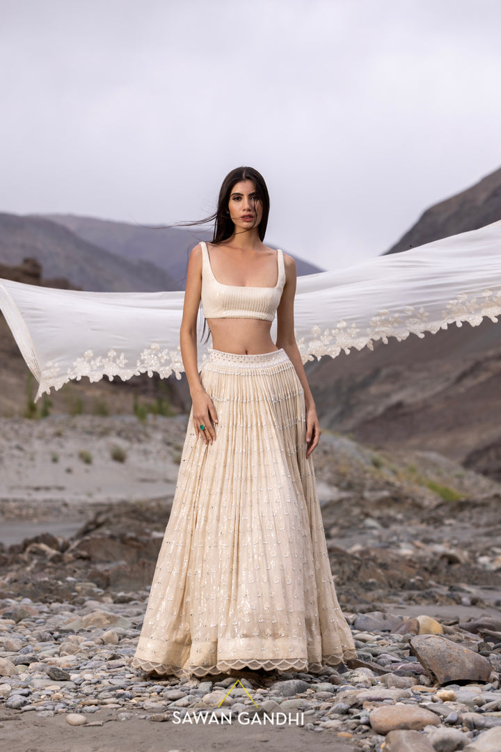 Beige paani sequins mirror booti lehenga