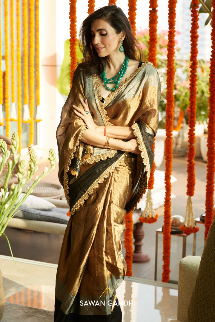 Prena Goel in Tricolour tissue saree