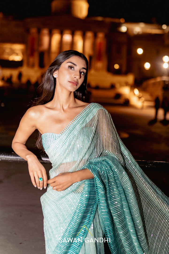 Sage green handloon organza saree