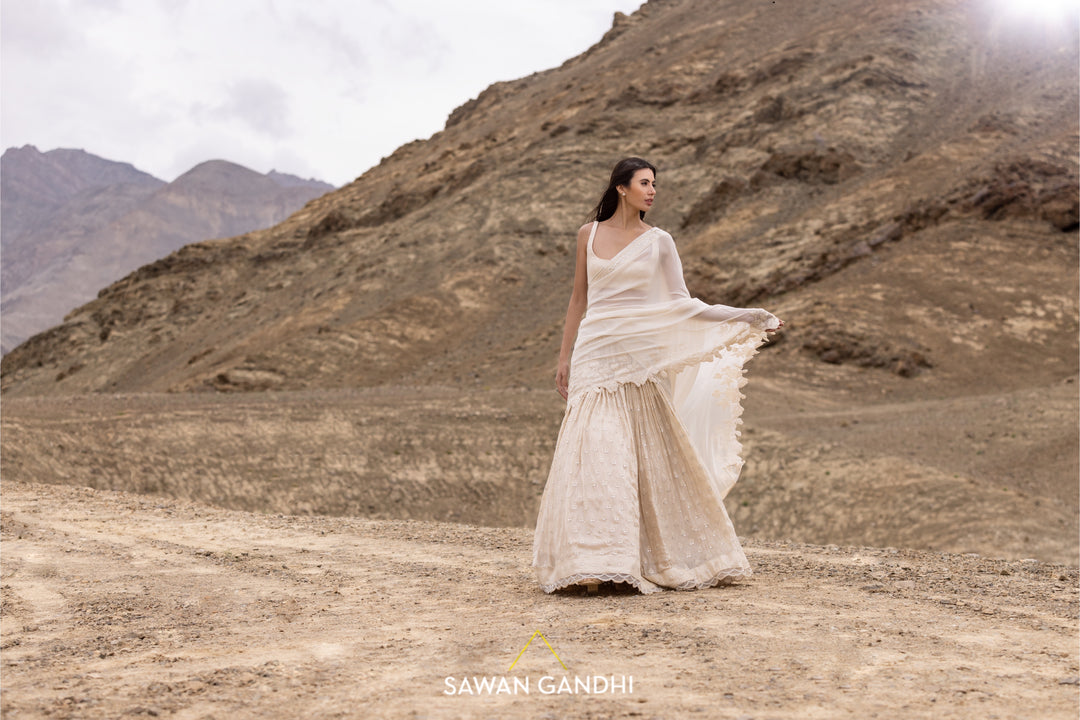 Beige paani sequins mirror booti lehenga