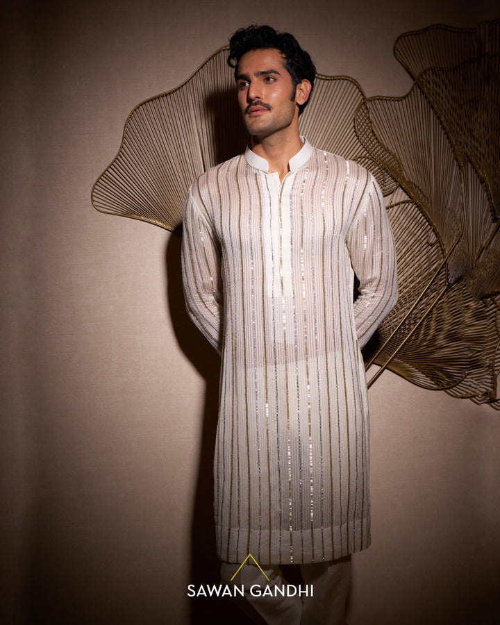 Ivory sheer organza kurta