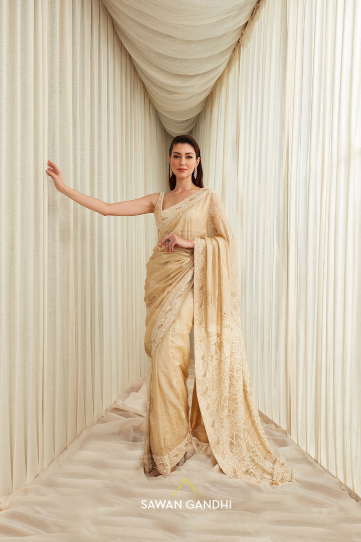 Tassar chikankari and sequins work saree