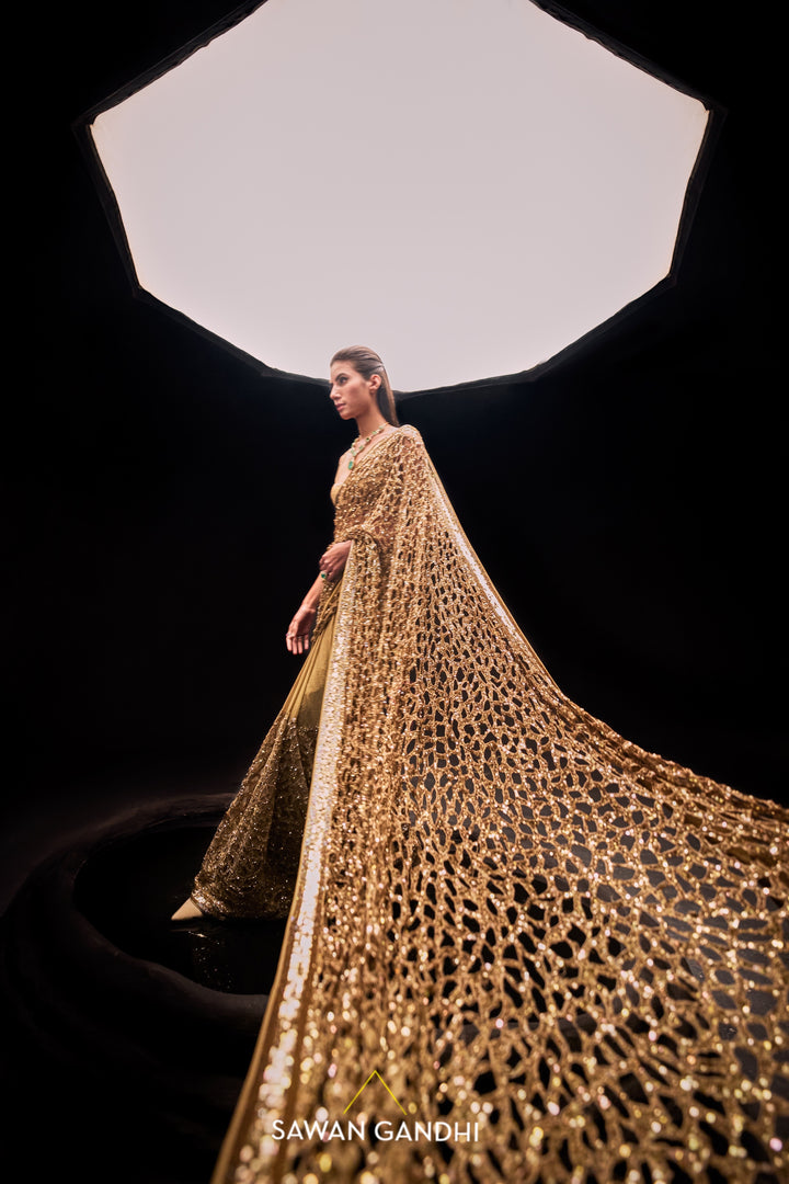 Golden cut work saree