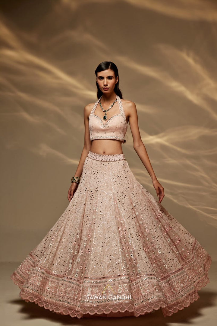 Blush pink chikankari and parsi work lehenga set