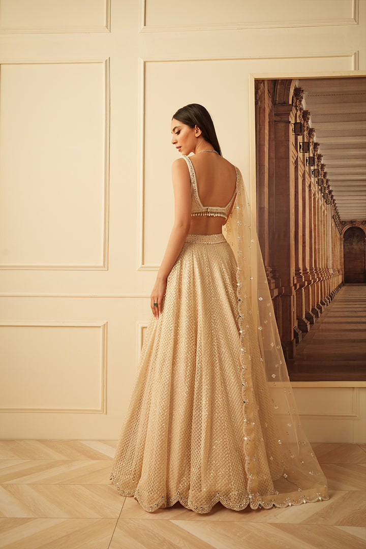 Gold thread work lehnga  set